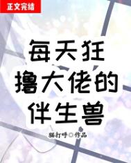 策划到底给了我什么人设[西幻]